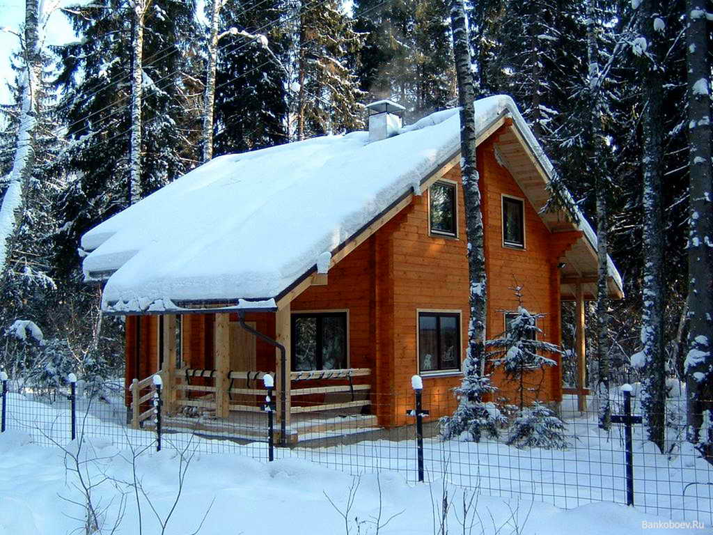 Дома из зимнего леса